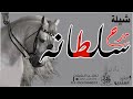 شيله مدح باسم سلطانه خليتي البيض ياسلطانه مجانيني شيلة مدح حماسي باسم سلطانه تنفيذ بالاسما شيله مدح باسم سلطانه خليتي البيض ياسلطانه مجانيني شيلة مدح حماسي باسم سلطانه تنفيذ بالاسما