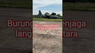 Burung besi penjaga langit nusantara #shorts