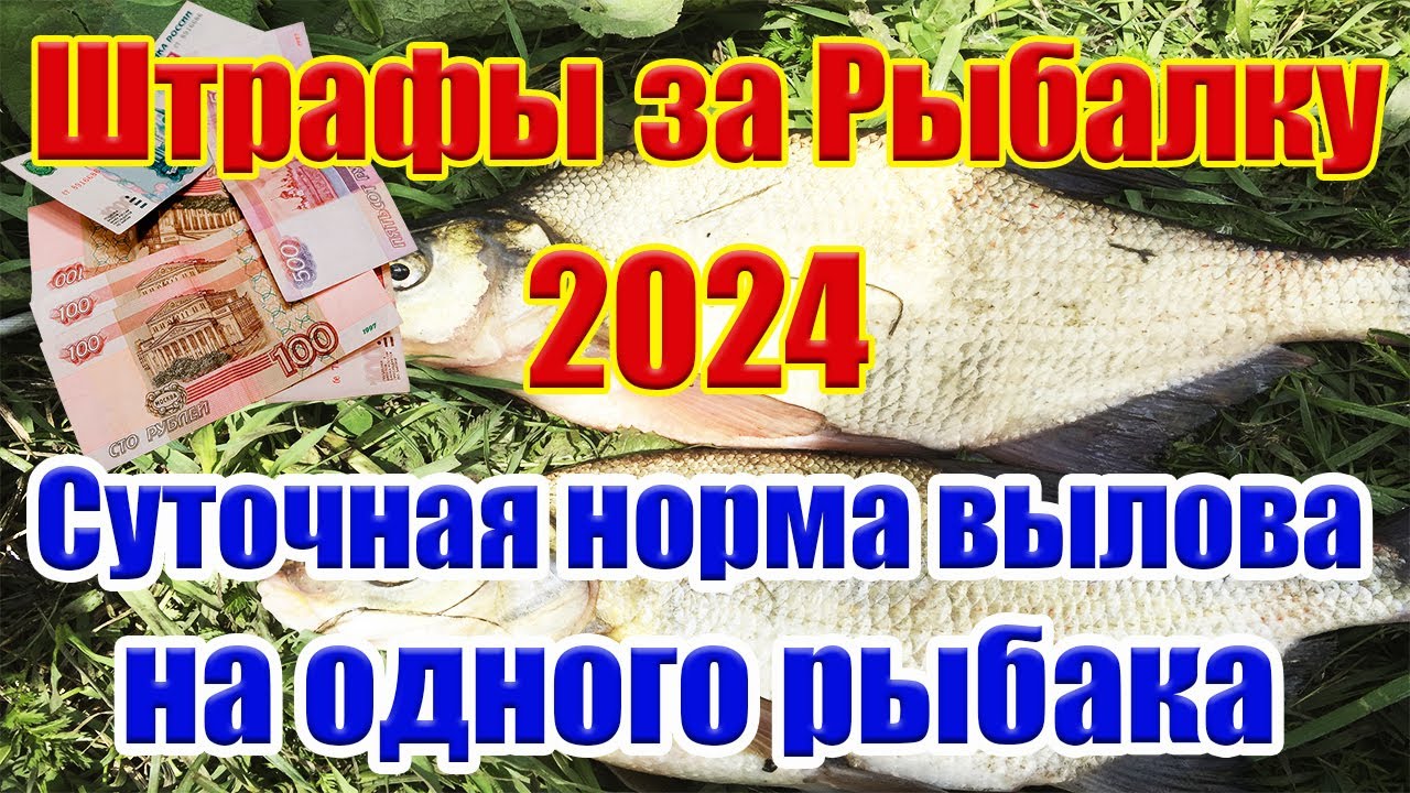 Новые правила рыбалки 2024