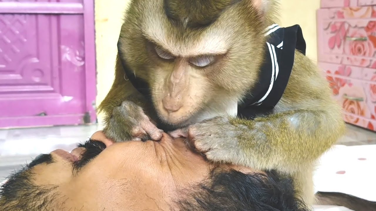 Dr Bela Induces Grooming Hair Around Eyes Removal Unbearable Sensitive ASMR