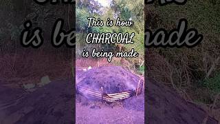 Charcoal Making #longtime #production #charcoal #slow #process #shorts #fyp #pyrolysis #smoky