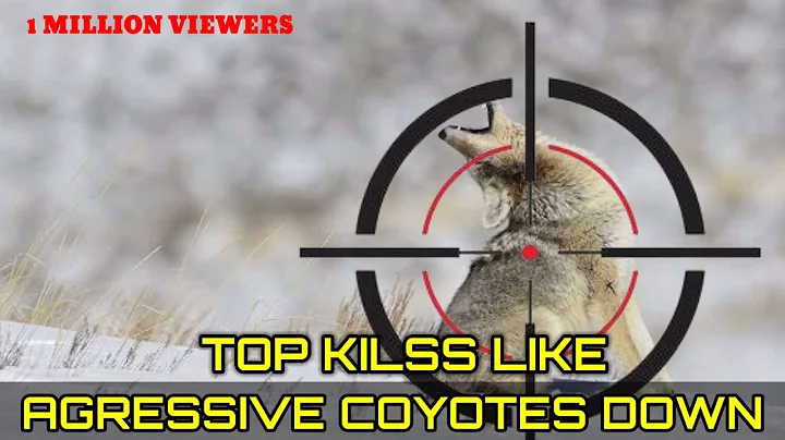 Top kilss like agresivve coyotes down #part 0117