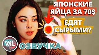 Почему Япония — потребитель яиц №1. (Яйца за 70$ против яиц 1$)/What Ive learned на русском