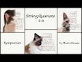 String Quarcats 4-6