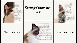 String Quarcats 4-6