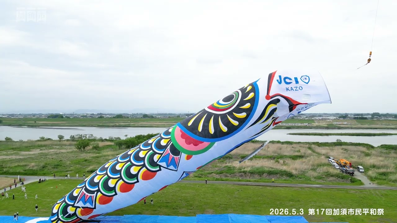 水彩画 ジャンボ鯉のぼり F4 令和4年度 ジャンボこいのぼり遊泳｜利根川河川敷緑地公園 - YouTube