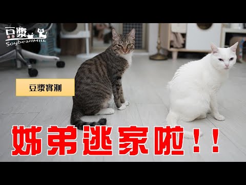 【豆漿實測】門沒關緊 兩姊弟的反應是...