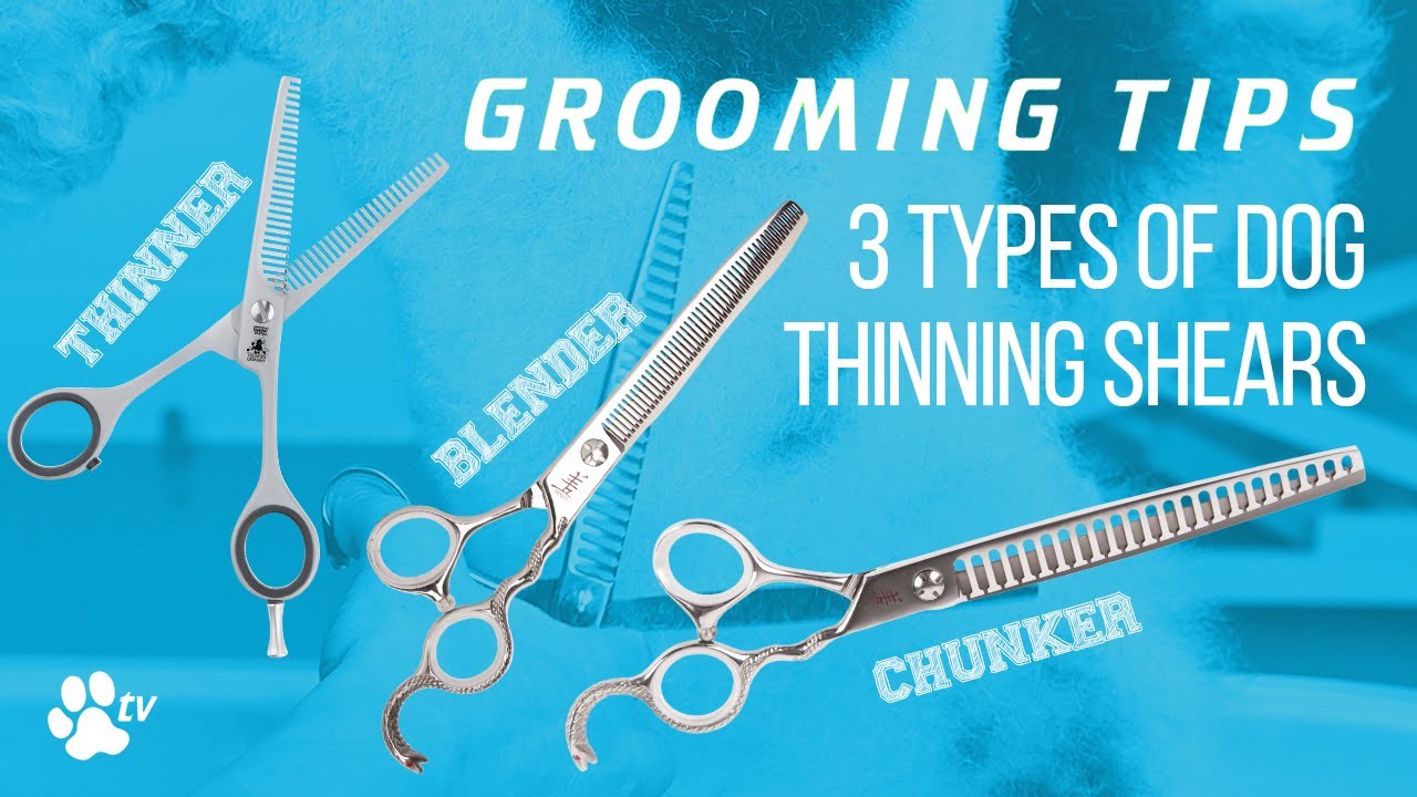 3 types of thinning scissors for dogs 