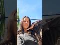 daily life mini vlog 😎 @AnkiAnshuvlogs #tranding #love #minivlog #daliyvlog #vlog #viralvideo #yt