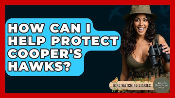 How Can I Help Protect Cooper