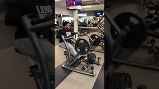 Matrix Plate Loaded- Back Row (Horizontal hold