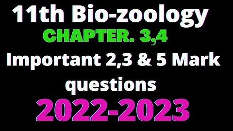 11th Bio-zoology important questions chapter 3 and 4 |2mark ,3mark, 5mark questions #11thbiology