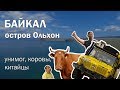 Поездка на Байкал. Остров Ольхон: унимог, коровы, китайцы. Путешествие по России на автодоме