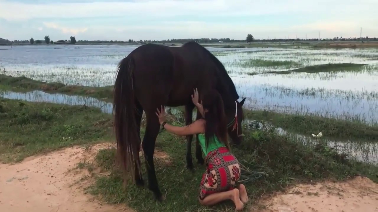 Village Girl Training Black Horse And Care YouTube