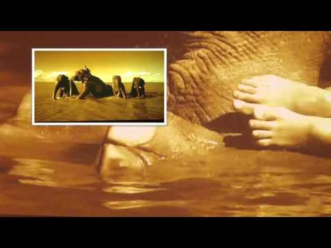 GATTO Panceri - VIBRO - Official Video - 2016