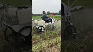 Corn also needs pest control! #Self-propelled boom sprayer #Electric spraying vehicle #Four-wheel s