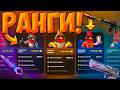НА PETUH ДОБАВИЛАСЬ РАНГОВАЯ СИСТЕМА! Я СТАЛ ПЕТУХОМ НА ПЕТУХЕ?! ЧТО ПРОИСХОДИТ? CS2 ОТКРЫТИЕ КЕЙСОВ