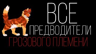 Все предводители Грозового Племени|ThesameSouth|