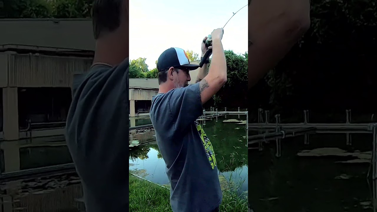 BIG Sunfish! site fishing this NO FISHING Zone.. #fishing #sunfish #pondfishing #bassfishing
