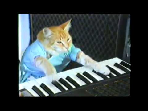 play-him-off,-keyboard-cat!