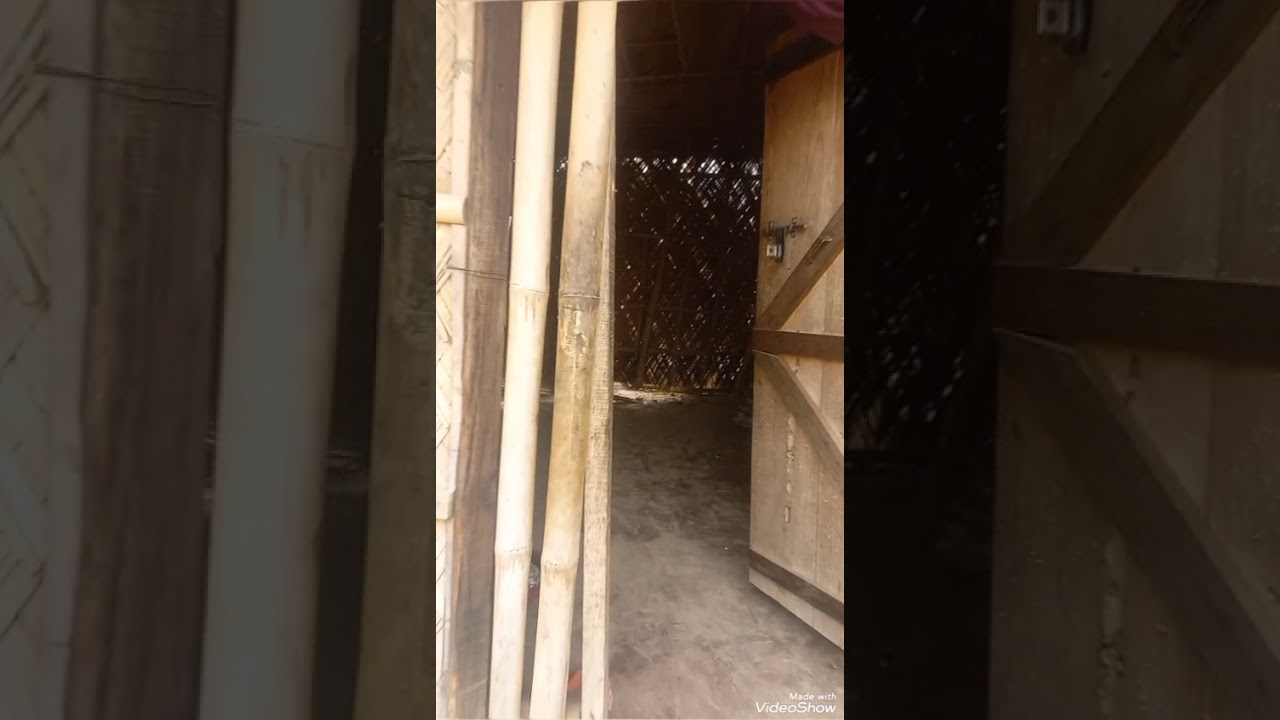 Frightening incident of human-Wildlife Conflict// God Saved n Protected Baby Child