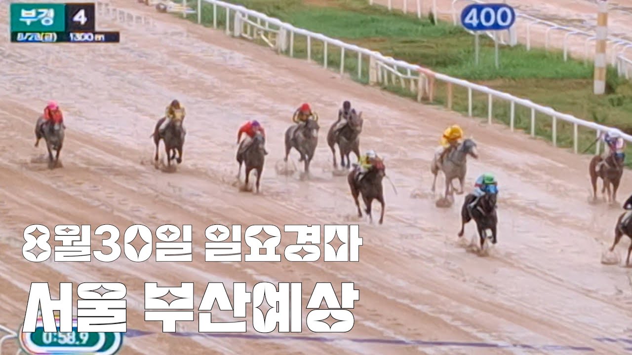 8월30일 일요경마 서울.부산예상 