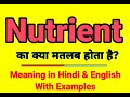 Nutrient meaning in Hindi | Nutrient ka kya matlab hota hai | Daily use English words