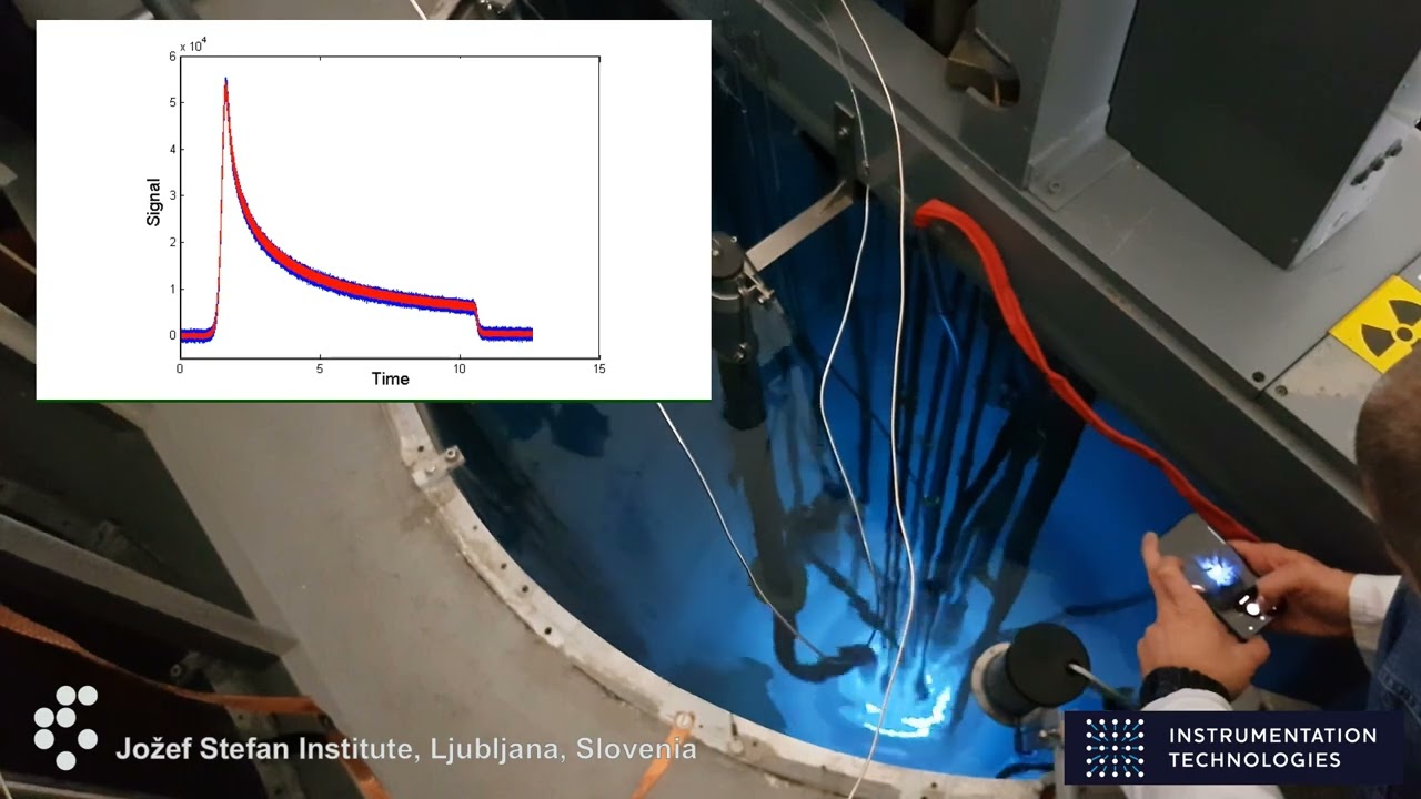 Neutron flux measurement with Libera instrumentation