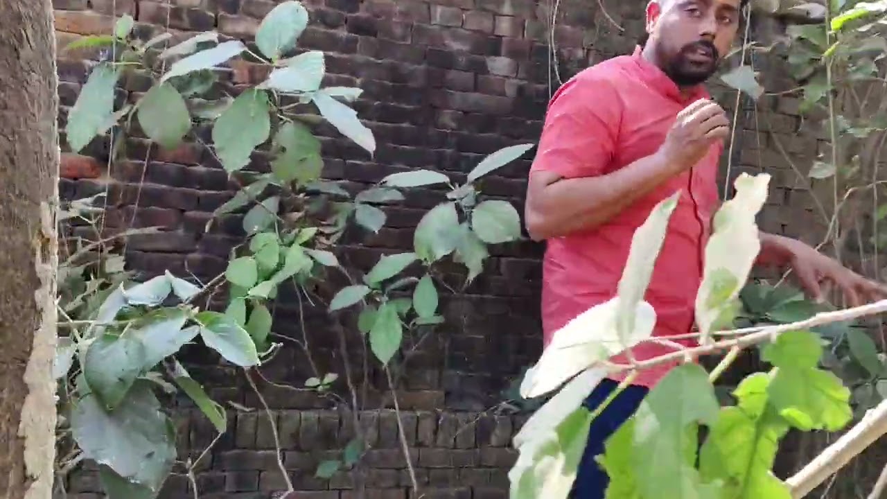 13 वर्षीय रिजवान का हवेली मे शव मिलने से लोगों मे दहशत आज लाइव के माध्यम से उस जगह को दिखा रहा.see.