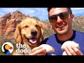 This Man's Best Friend Is His Golden Retriever | The Dodo Soulmates