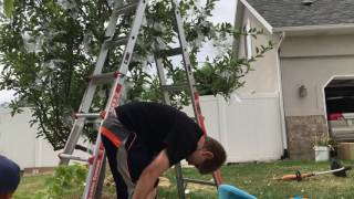 Bagging apples for Big Prevention