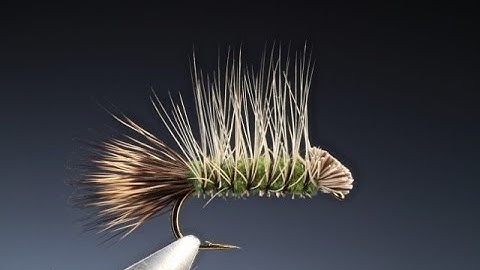 Fly Tying the Dyret fly (Animal) with Barry Ord Clarke