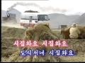 North Korean Pop Song: City Girl Comes to a Village to Get Married 都会の娘が嫁に来た