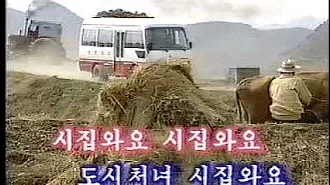 North Korean Pop Song: City Girl Comes to a Village to Get Married 都会の娘が嫁に来た