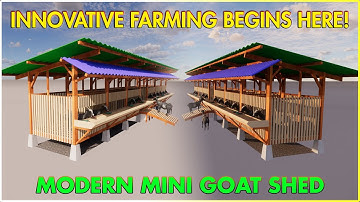 Low Budget Mini Goat Farming Shed