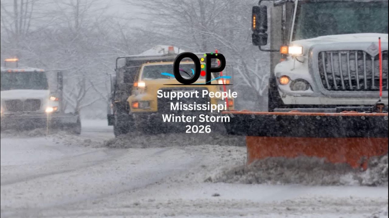 Mississippi Fern Winter Storm Disaster - YouTube