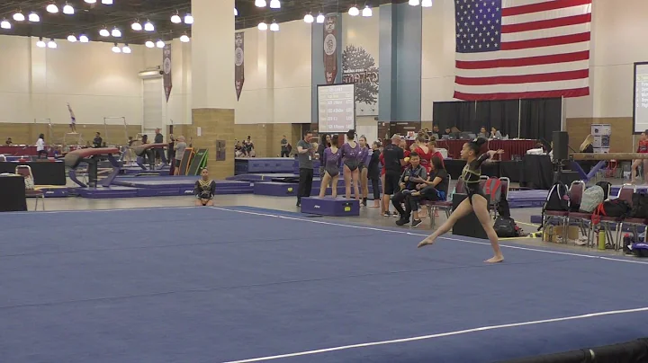 2018 Level 8 Floor/ Hanh Hoang/ Scored 9.75