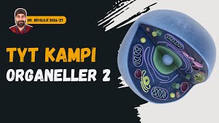 Hücre Organelleri 2.Kısım Dr. Biyoloji Dönem 2026 - 2027