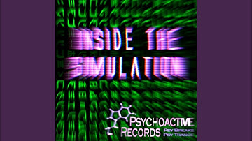 Inside The Simulation (Original Mix)