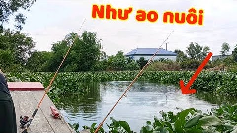Khủng khiếp ổ cá giữa bãi lục bình - Cá lôi cần xuống sông
