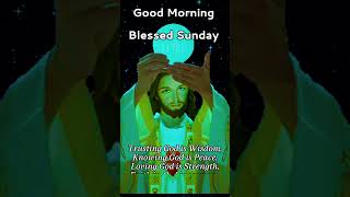Good Morning Blessed Sunday #goodmorning #HaveABlessedDay #BlessedSunday #piacevole @highlights
