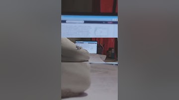 Day 1/70. Nuclear and Particle Physics .