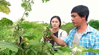 Download Lagu Phuong started life from zero Man tried every way to help Phuong MP3 Download Lagu Phuong started life from zero Man tried every way to help Phuong MP3