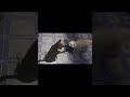 Baby dog#cute puppy playing❤️4kViral#shorts