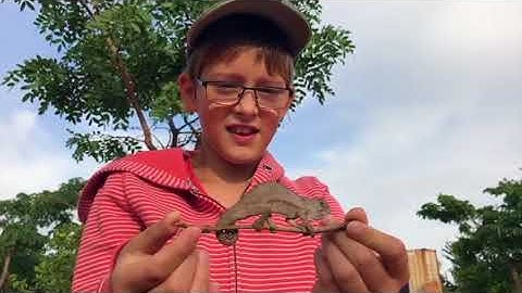 Video Reisverslag  Nr 4