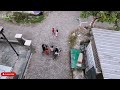 Syuting para kicau mania junior#djineo #fpvdrone