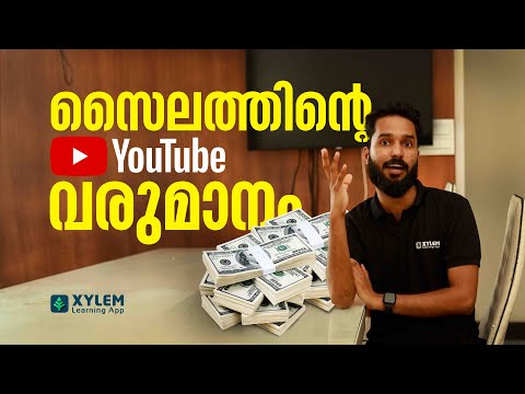 സൈലത്തിൻ്റെ Youtube വരുമാനം!
