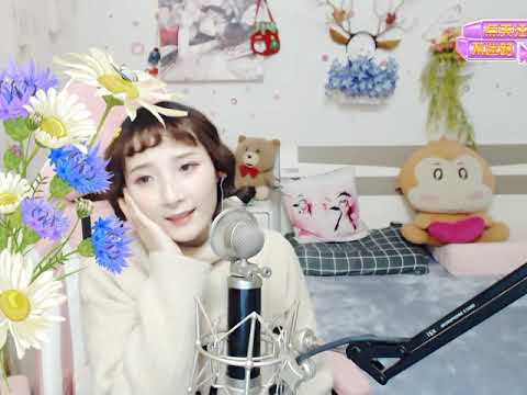 再也沒有-楊佬叁 COVER BY 苗苗