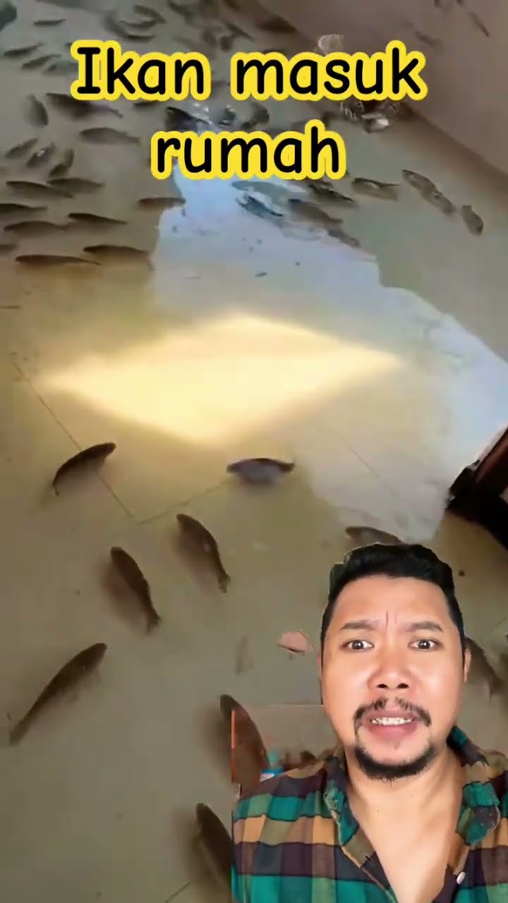 IKAN BANJIR MASUK RUMAH!!???#shorts