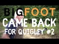 BIGFOOT TRIED TO TAKE MY DOG QUIGLEY! 🐕 👣